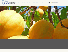 Tablet Screenshot of gbitalia.com